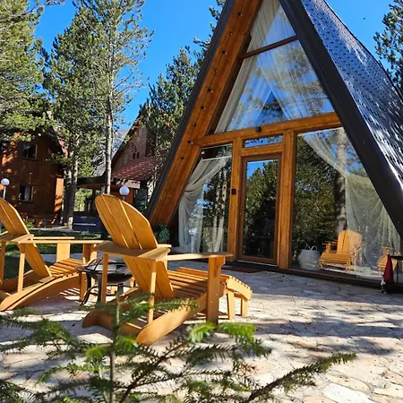 Forest House A Frame *