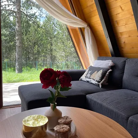 Forest House A Frame