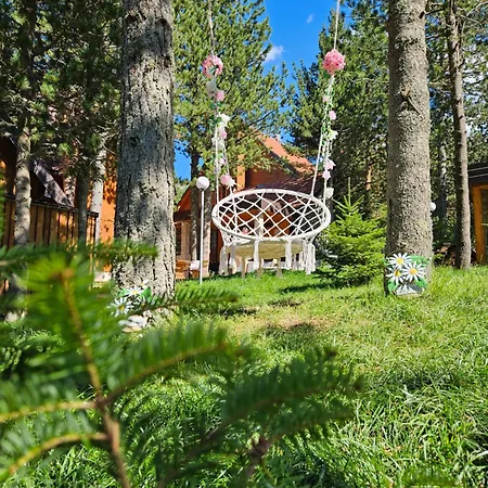 Apartment Forest House A Frame