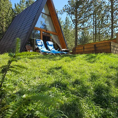 Apartment Forest House A Frame *